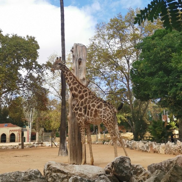 Jardim Zoológico
